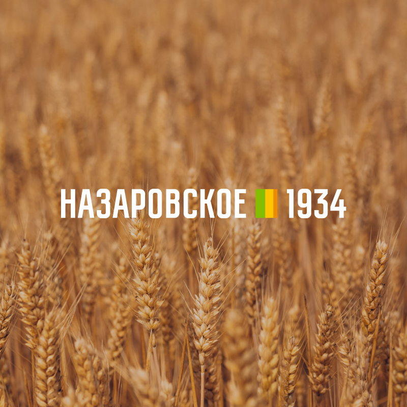 Назаровское 1934